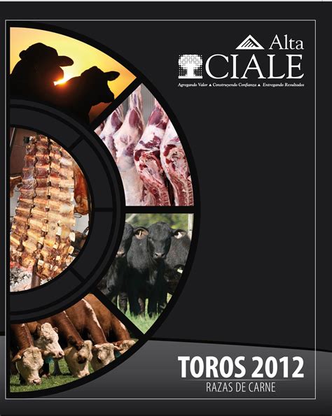 CIALE Alta .